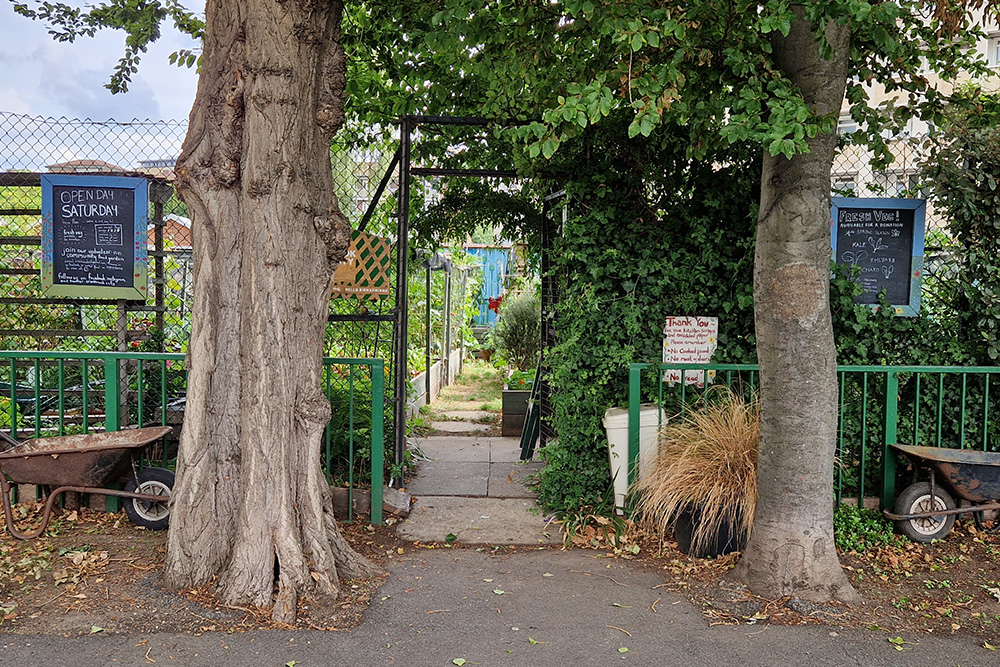 The gate leading into the garden, flanked by two tree trunks and old wheelbarrows standing guard like lions.